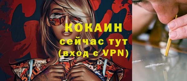 мяу мяу мука Баксан