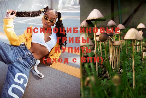 мяу мяу мука Баксан