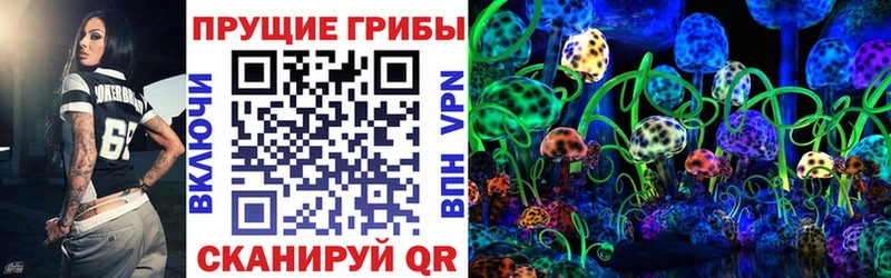 Псилоцибиновые грибы MAGIC MUSHROOMS купить наркотик Козельск